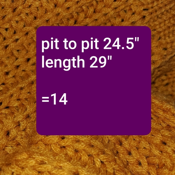 🆕️ ❗gone❗🍂CR🍂 Topaz Pumpkin Chunky Knit Sweater - Picture 8 of 8